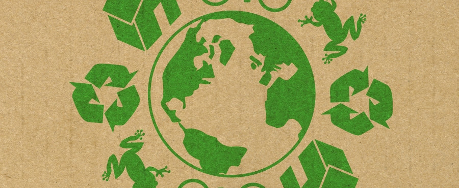 actividades para el día del medio ambiente